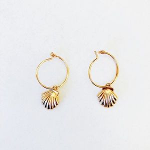 Minimalist Gold Seashell Earrings